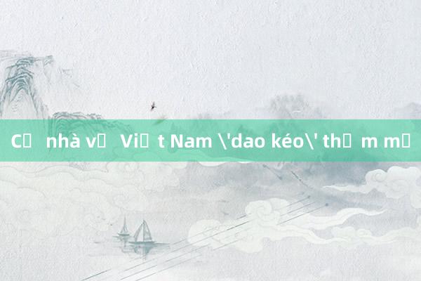 Cả nhà về Việt Nam 'dao kéo' thẩm mỹ