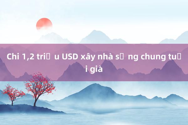 Chi 1，2 triệu USD xây nhà sống chung tuổi già