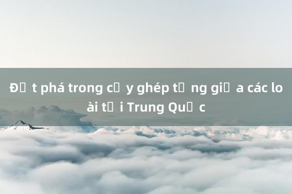 Đột phá trong cấy ghép tạng giữa các loài tại Trung Quốc