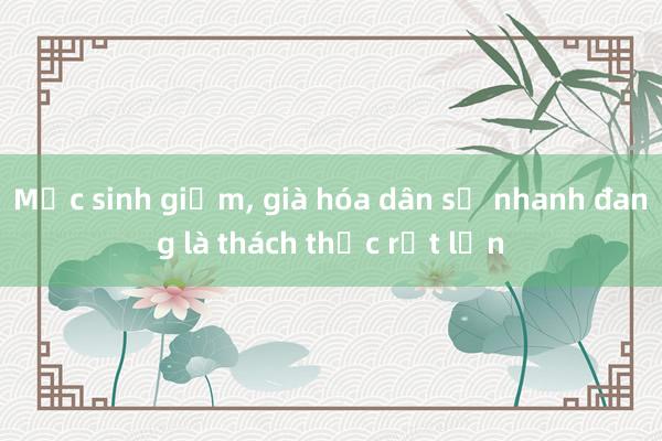 Mức sinh giảm， già hóa dân số nhanh đang là thách thức rất lớn