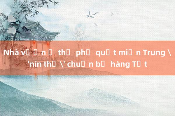 Nhà vườn ở thủ phủ quất miền Trung 'nín thở' chuẩn bị hàng Tết