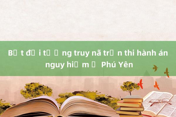 Bắt đối tượng truy nã trốn thi hành án nguy hiểm ở Phú Yên