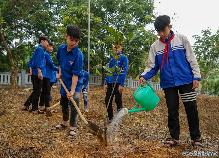 Hưởng ứng Tết trồng cây， hỗ trợ trồng 20ha rừng - Ảnh 1.